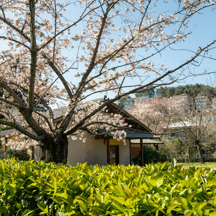 就労支援ニコリ